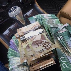 Meet your Posher, Shania